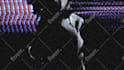 make awesome trippy footage animated music video