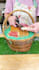 be your cooking video editor for youtube, tiktok, instagram etc