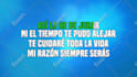 create karaoke lyric video professionally within 24 hours