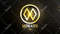 create a professional custom 3d logo animation