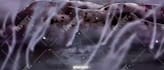 do insane viral anime music video amv, edit for you