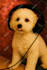 animate your pet or any animal to talk to and lip sync