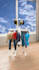 make 3d product animation video