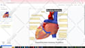 design professional printable and digital flashcards for study and kids