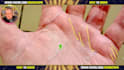 give a palm reading on video in 24h