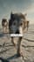 do faceless ai history shorts for youtube instagram tiktok reels