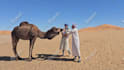 deliver funny happy birthday video with camel