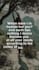 create 365 bible quotes christian videos shorts,reels,tiktok with logo