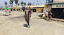 make peds, stuff and clothing for fivem or gta 5