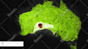 create professional map animation videos for youtube