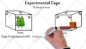 create doodly and scribe whiteboard animation video
