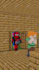 create professional minecraft animation