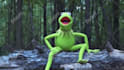 do a voiceover impression of kermit the frog for you