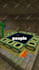 edit your minecraft smp promotional content and trailers