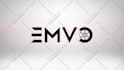 create 42 amazing animated logo intro video in 24hrs