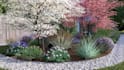 do backyard landscape design site plan native plant