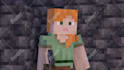 make you a minecraft animation for your content