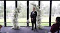 do cinematic wedding video editing in short time