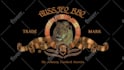 make you a mgm or hbo style intro