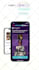 create a lottie animation for your website or app