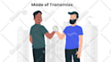create a professional 2d animated explainer video