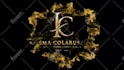 bring your brand to life with unique logo animation videos