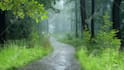 create 10 cozy relaxing rain videos