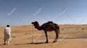 do tik tok dance, dance video, dance camel, group dance