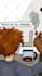 do motion comic from your comic, manga or manhwa
