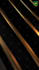 create cinematic reels, intro, trailer, teaser, brand video,