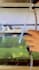edits your tik tok videos professionally