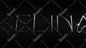 make an amazing 3d neon logo animation video intro