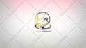 create 5 stunning animated logo intro videos in 24 hours