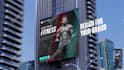 edit motion array, canva template after effects expert ui animation infographics