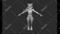 do custom 3d nsfw vrchat avatar, furry vtuber model, animaze character, vbridger