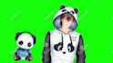 create high quality live2d vtuber model and rigging for streaming