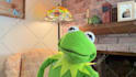 have kermit the frog record a video message or audio message