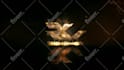 do gold fire logo reveal animation