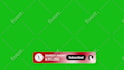 create social media lower thirds video animations for your brand
