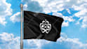 be doing a 3d animation of the flag