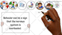 create custom whiteboard animation video
