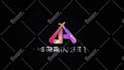 create a professional custom logo animation and youtube intro