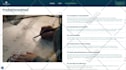 design, redesign or revamp wordpress website with elementor pro