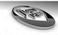 create a professional 3d logo animation intro video in 24 hours