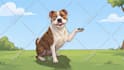 create a professional adobe character animator puppet