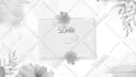 create custom 2d 3d motion graphics logo animation