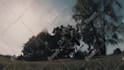 do professional color correction and color grading, studio colorist for 15 years