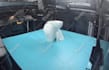 3d print in industrial grade filament
