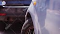 create this funny driving dog video ad for your business