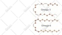design 2d infographic animations and presentations based on motion graphics